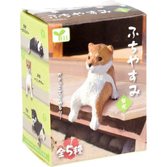 公仔 休憩中的柴犬（隨機1入）