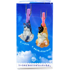 洗衣日和3 ～變乾淨果然好舒服～（隨機1入）