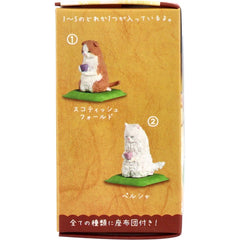 公仔《療癒日和・貓咪》隨機1入