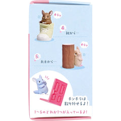 公仔《Chinchilla 躲貓貓發現了！》隨機1入