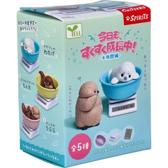 公仔《今天又健康成長！－水族館篇－》隨機1入