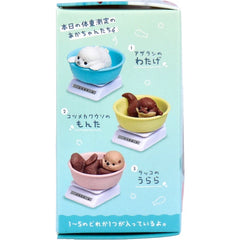 公仔《今天又健康成長！－水族館篇－》隨機1入