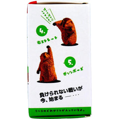 公仔《土撥鼠皇家拳王賽》隨機1入
