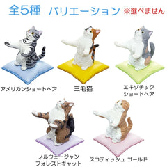 模型玩具《貓來幫你保管東西喵》 1入