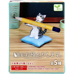 模型玩具《貓來幫你保管東西喵》 1入